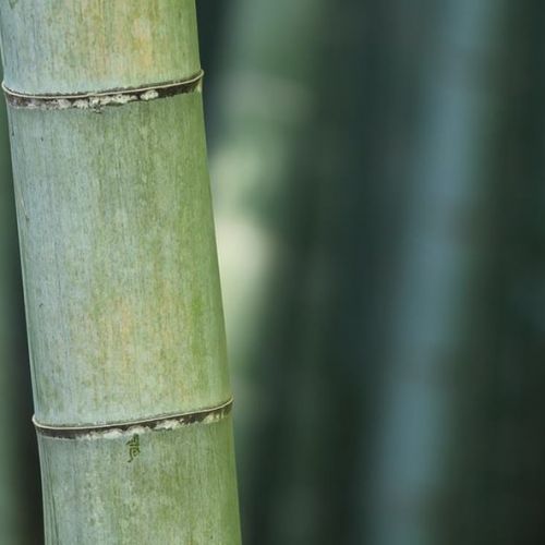 Bambusz zokni - igazi kényelem